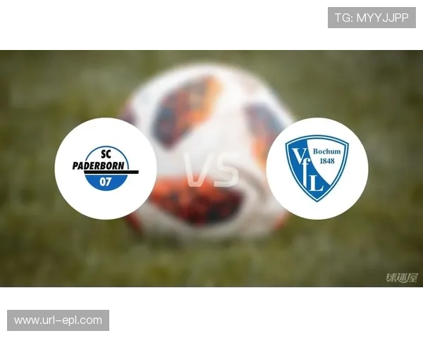 帕德博恩胜杜塞尔多夫，德乙升级竞争格局生变